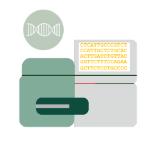 Bacteria DNA extraction and sequencing